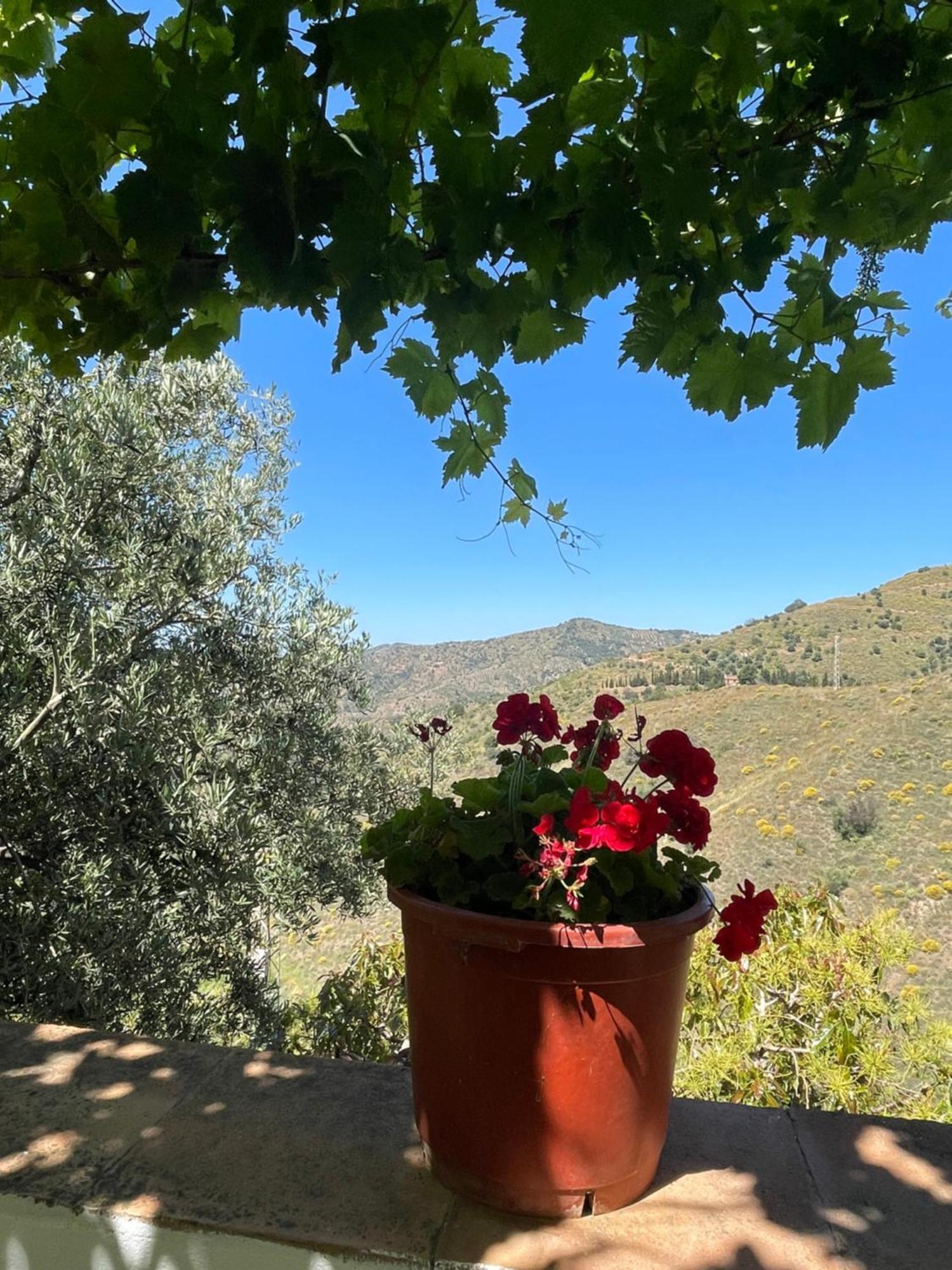 Casa Frontillas Hébergement de vacances *
