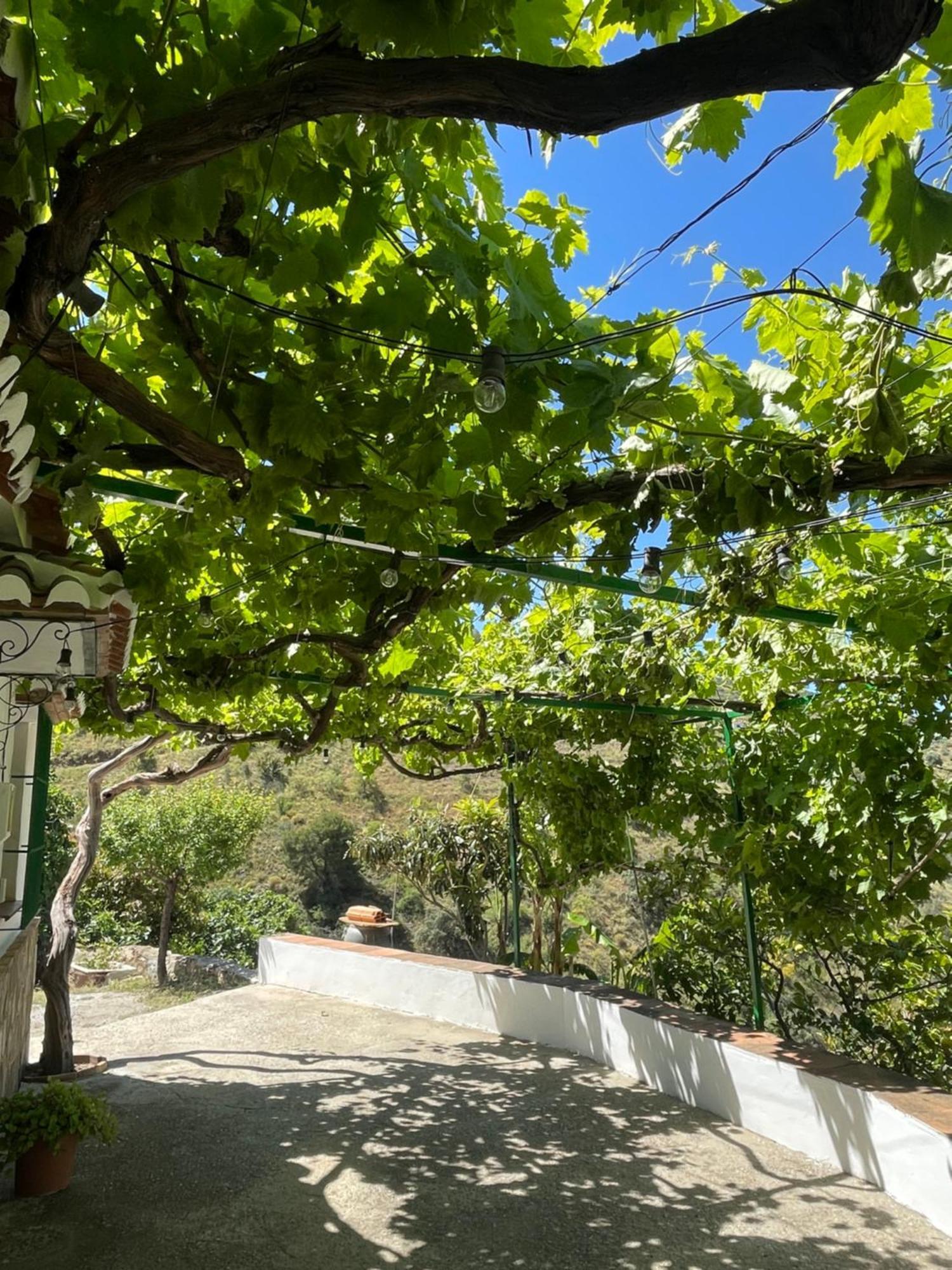 Hébergement de vacances Casa Frontillas Moclinejo